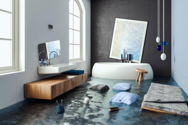 Best Mold removal after water damage  in Shawnee, KS