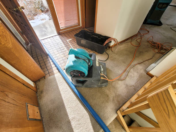 Best 24-hour water damage restoration  in Shawnee, KS
