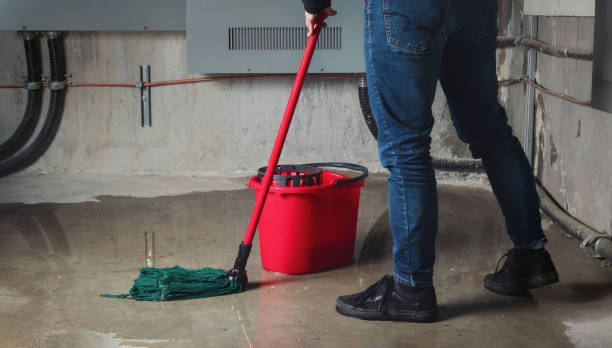 Best Sewage cleanup and water damage restoration  in Shawnee, KS