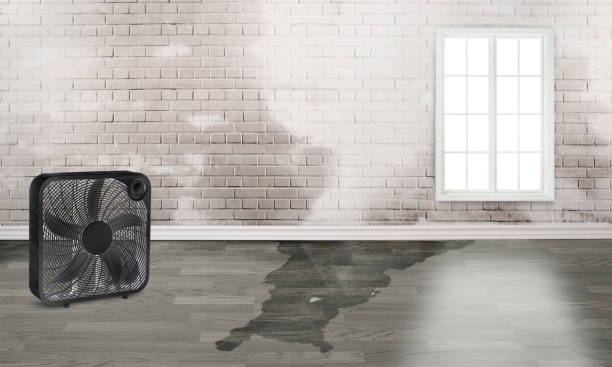 Best Local water damage restoration  in Shawnee, KS