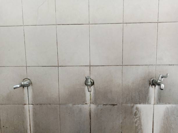 Best Residential water damage restoration  in Shawnee, KS