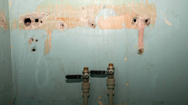 Best Emergency water damage restoration  in Shawnee, KS