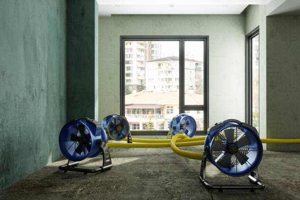 Best Water damage restoration process  in Shawnee, KS